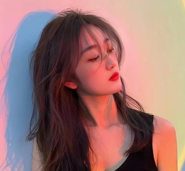 网美嬉游记